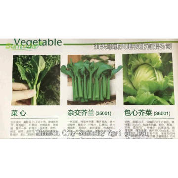 Vegetable   mushroom Mustard cabbage F1 kale kailan seeds